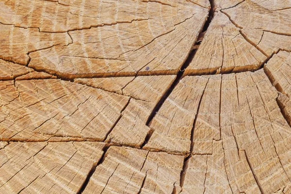 Drewniany Szorstki Drewno Stary Materiał Deska Materiał Płyty — Zdjęcie stockowe