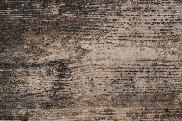木制未加工木材 老旧材料板材 面板纹理 — 图库照片