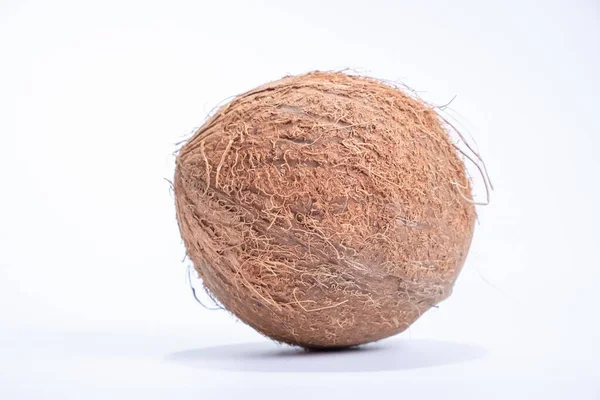 Καρύδα Τροπικό Αντικείμενο Nut Φύση Απομονωμένα — Φωτογραφία Αρχείου
