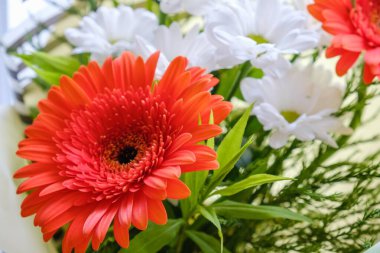 Çiçek buketi Gerbera 'yı soyutladı. düğün