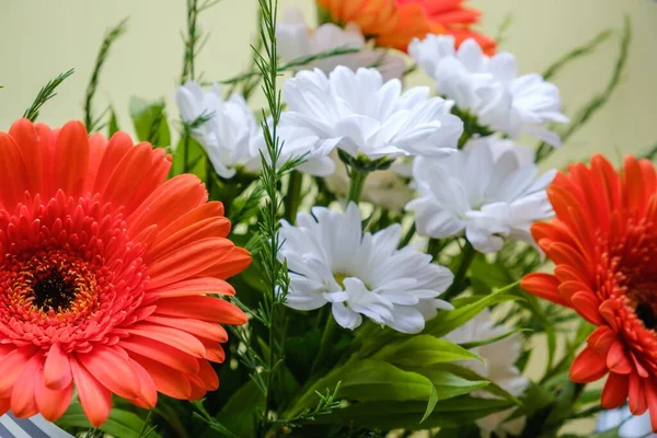 Çiçek buketi Gerbera 'yı soyutladı. Çiçek açmış.