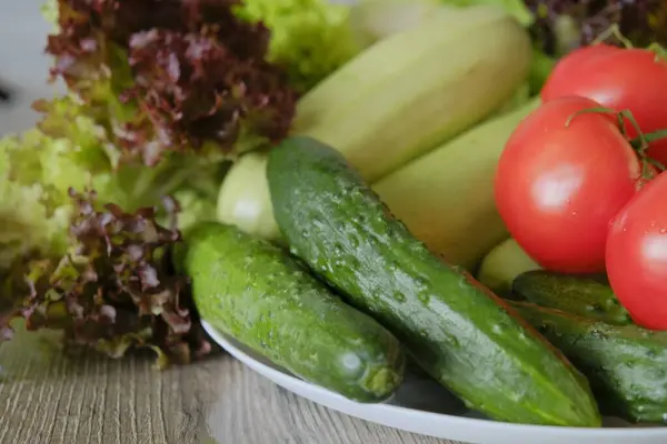 Organic Harvest Vegetable Assortment Diet Season Farm — Stok Foto