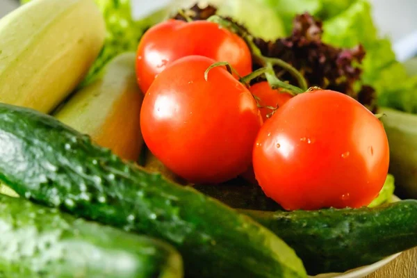 Organic harvest vegetable assortment diet. cooking green — Stok Foto