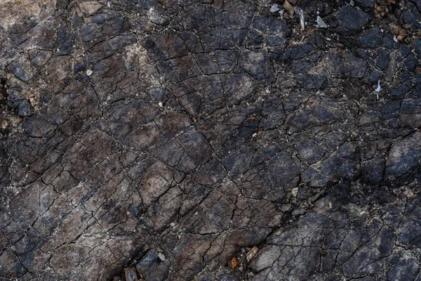 Madeira áspera de madeira envelhecida. textura da placa — Fotografia de Stock