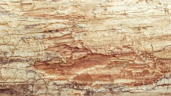 Yaşlı ahşap kereste. tahta panel