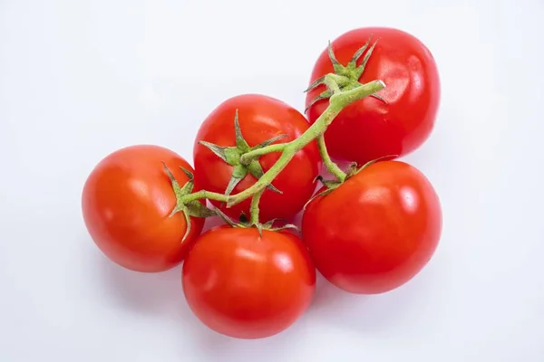 Tomaten isolierte Nahrung reif rot. grün klein — Stockfoto