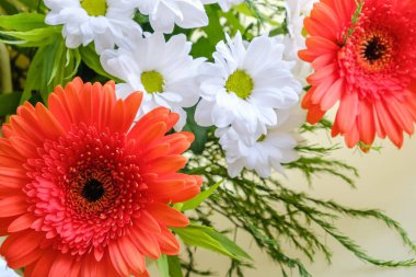 Çiçek buketi Gerbera 'yı soyutladı. Çiçekli romantik