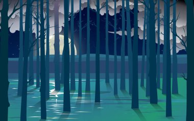 Dolunay gecesi sahildeki mangove ormanının manzarası.