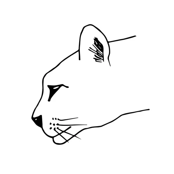 테두리에 손으로 푸마의 앞쪽등 고선은 배경에 고립되어 고양이 동물원 티셔츠 — 스톡 벡터