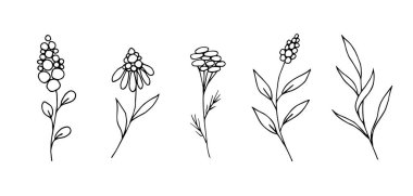 El çizimi siyah çizgili vektör çiçek seti. Soyut çiçekler, kontür, taç yaprakları, ince dallar, gövde ve yapraklar. İzler, kartlar, çıkartmalar, kalıplar yaratmak için doğa öğeleri, davetiyeler için.