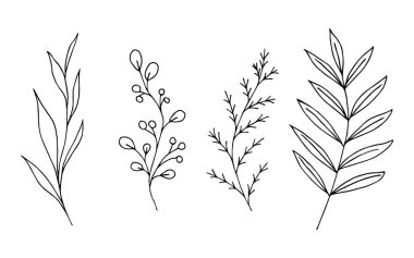 El çizimi siyah çizgili vektör çiçek seti. Soyut dallar, orman bitkileri, dış hatlar, böğürtlenler, ince dallar, gövde ve yapraklar. İzler, kartlar, çıkartmalar, kalıplar oluşturmak için doğa öğeleri.
