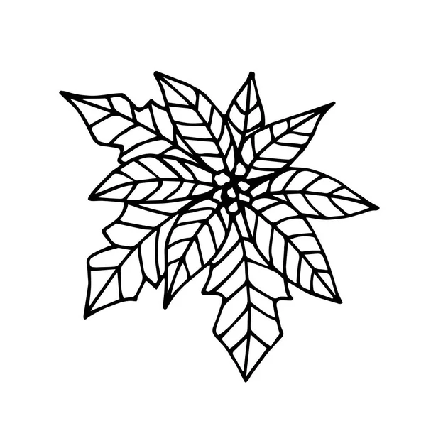 Flor Poinsettia Estrella Navidad Dibujo Simple Mano Alzada Vectorial Contorno — Vector de stock