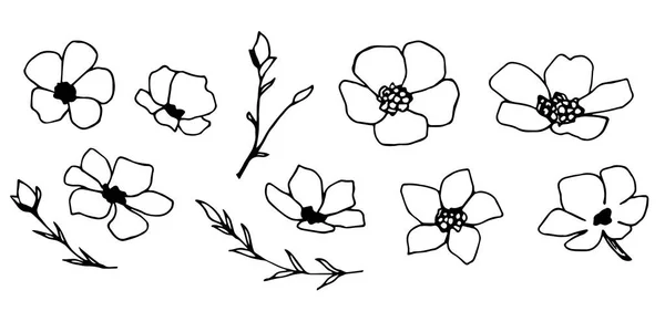 Esquema Negro Dibujado Mano Vector Conjunto Floral Flores Simples Diferentes — Vector de stock