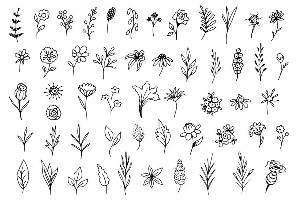 Doodle Grande Vetor Floral Definido Com Contorno Preto Fundo Branco — Vetor de Stock