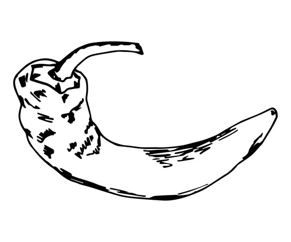 Simple Vector Ink Drawing Hot Chili Pepper Black Outline Isolated — Διανυσματικό Αρχείο
