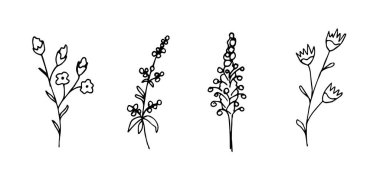 El çizimi siyah çizgili çiçek desenli vektör seti, dallar, beyaz arka planda izole edilmiş saplar. Bahar-yaz sezonu için çıkartmalar, etiketler, baskılar.