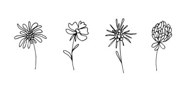 El çizimi siyah çizgili çiçek desenli vektör seti, dallar, beyaz arka planda izole edilmiş saplar. Bahar-yaz sezonu için çıkartmalar, etiketler, baskılar.