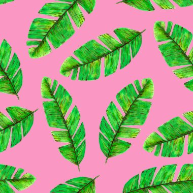Elle çizilmiş tropikal desenler. Parlak pembe arka planda yeşil palmiye yaprakları. Kumaşlar, duvar kağıtları, giysiler, ambalajlar, baskılar için..