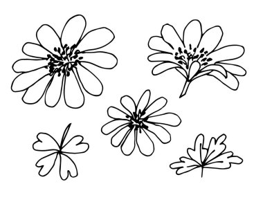 Çiçeklerin vektör illüstrasyonu