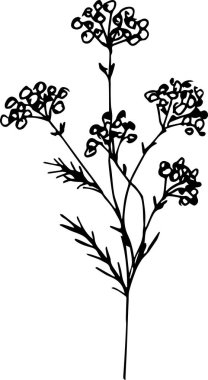 bir ağacın siyah ve beyaz vektör çizimi