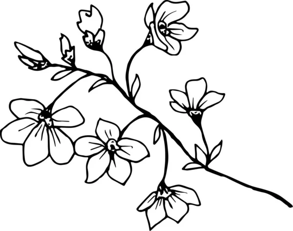 Vector Conjunto Flores — Vector de stock