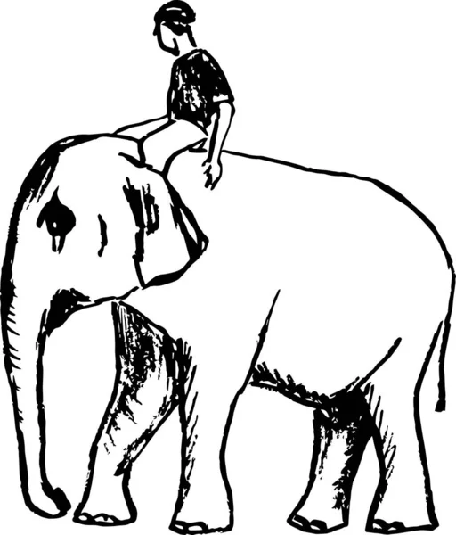 Illustration Vectorielle Éléphant Avec Homme — Image vectorielle