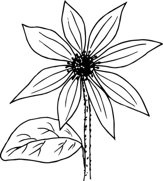Bir Çiçeğin Çiziminin Vektör Çizimi — Stok Vektör