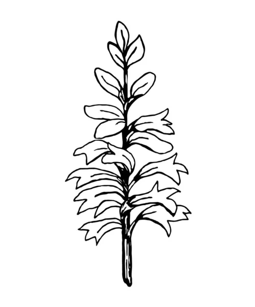 Bitkinin vektör illüstrasyonu