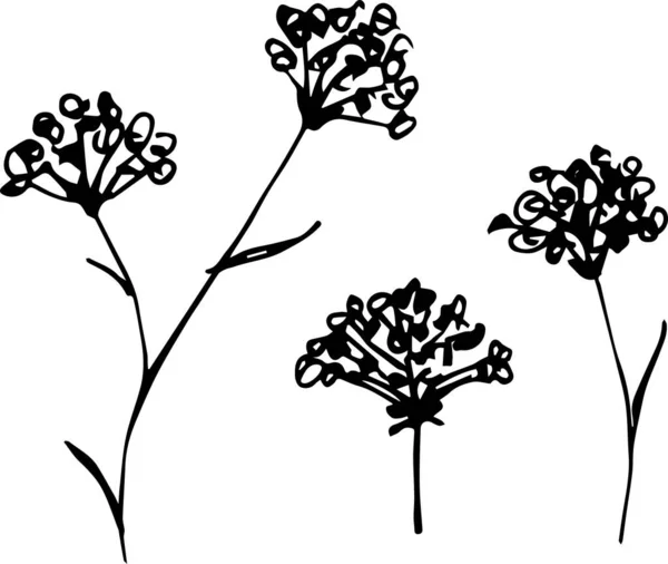 Vektorové Černé Bílé Siluety Květin — Stockový vektor