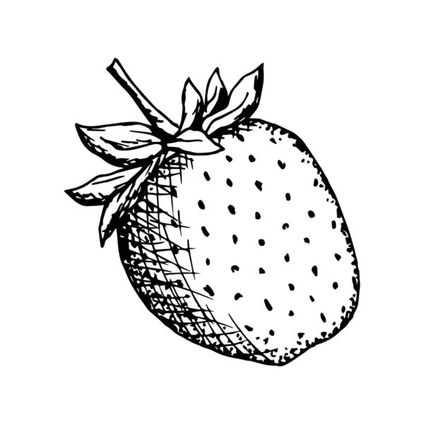 Çilek simgesinin vektör çizimi