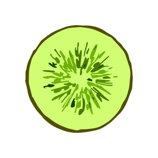 手工绘制的简单矢量图解 在白色的背景上分离的明亮绿色圆形猕猴桃果 维生素 — 图库矢量图片
