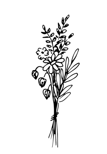 Eenvoudige Handgetekende Vectortekening Zwarte Omtrek Boeket Wilde Bloemen Geïsoleerd Witte — Stockvector