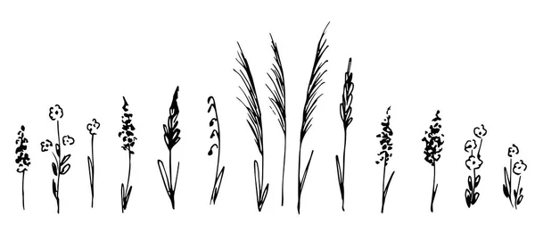Siyah çizgili el çizimi vektör çizimi. Bir grup yabani otlar, çayır çiçekleri, cilt bakımı, dikenler, saplar, çimenler..