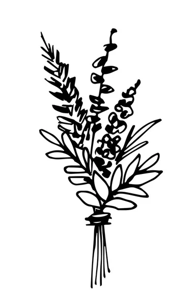 Handgetekende Vectortekening Zwarte Omtrek Gedroogde Bloemen Boeket Geïsoleerd Witte Achtergrond — Stockvector