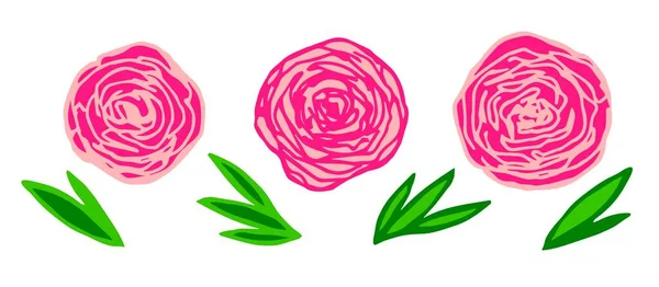 Яркий Векторный Рисунок Набор Розовых Пионов Цветы Зеленые Листья Цветочные — стоковый вектор