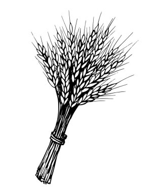 Siyah kabartma tarzında elle çizilmiş vektör çizimi. Bir sürü buğday, tahıl, organik tarım, tarım, mevsimlik ekinler. Yemek, ekmek, un. Etiketler, logo, piyasa.