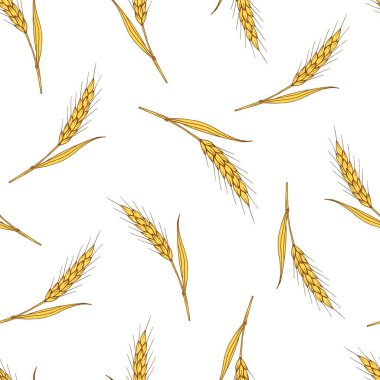 Simple vector seamless pattern. Golden spikelet of wheat on a white background, organic plant cultivation, seasonal harvest. Food, bread, flour. For printing textiles, labels, packaging.