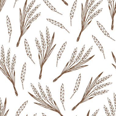 Elle çizilmiş vektör pürüzsüz desen. Beyaz arka plandaki mısır gevreğine bir avuç buğday. Çiftlik hasadı, organik bitkiler. Etiket tasarımı, un ürünleri ambalajı, ekmek, fırın ürünleri için.