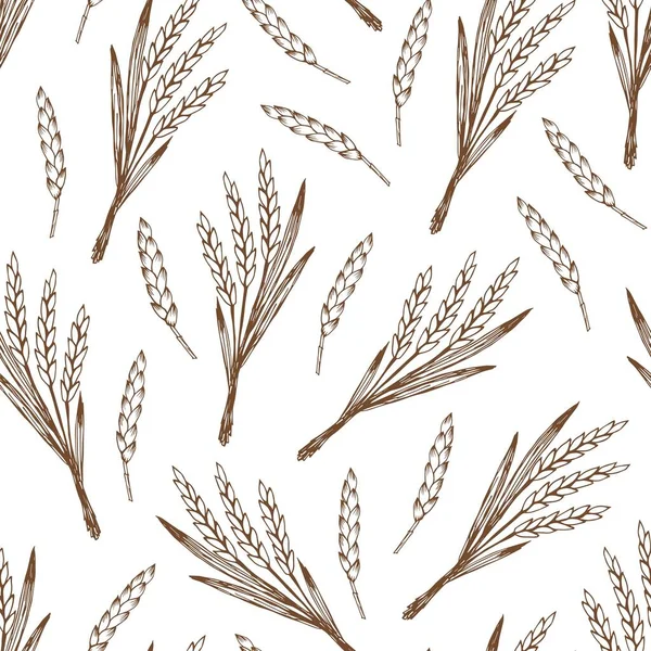 Elle çizilmiş vektör pürüzsüz desen. Beyaz arka plandaki mısır gevreğine bir avuç buğday. Çiftlik hasadı, organik bitkiler. Etiket tasarımı, un ürünleri ambalajı, ekmek, fırın ürünleri için.