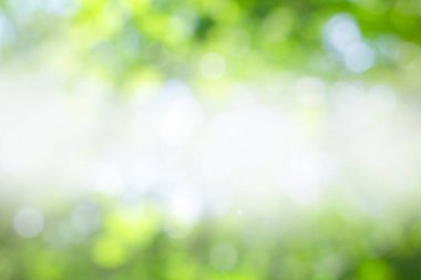 Soyut bulanık yeşil arkaplan. tasarım kavramları