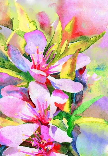 Яркие Цветы Миндального Дерева Весенний Цветок Фрагмент Макроса Акварель — стоковое фото