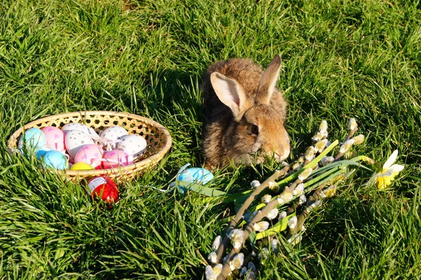 Pasqua — Foto Stock