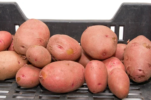 Potato crate — Stock Photo, Image