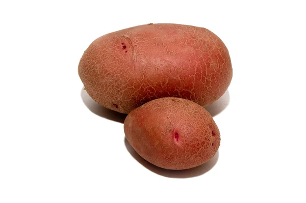 Potatis — Stockfoto