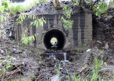 Yeşillik ve çamurla kaplı eski beton drenaj borusu