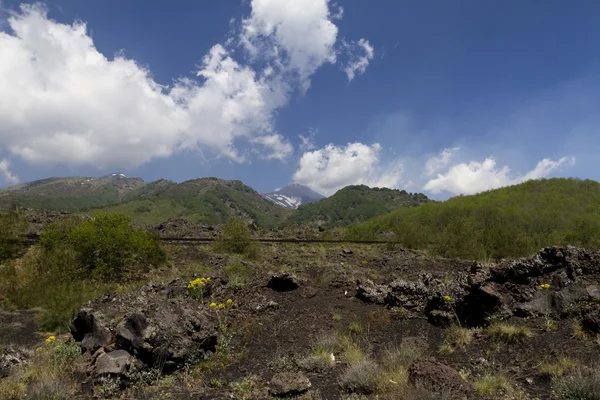 Mount Etna landscape — Stock Photo, Image