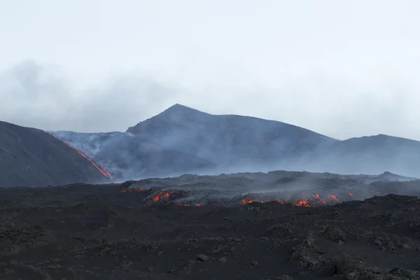 Campo de lava — Fotografia de Stock