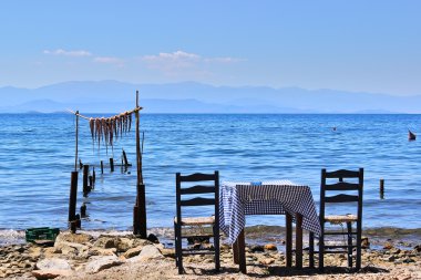 Deniz, tablo, ahtapot