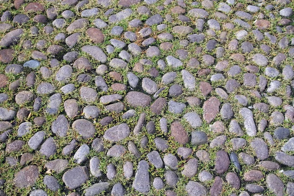 緑の苔で覆われた石畳 — ストック写真