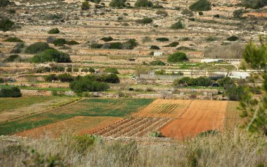 Malta manzara, Malta tarım arazileri, Malta çiftlik, panoramik manzaralı bahar Malta, Europe